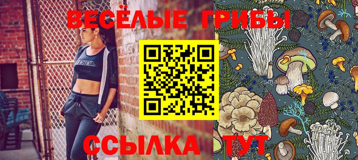 Гусь-Хрустальный  Галлюциногенные грибы Psilocybine cubensis  Галлюциногенные грибы мухоморы  Вход с VPN 