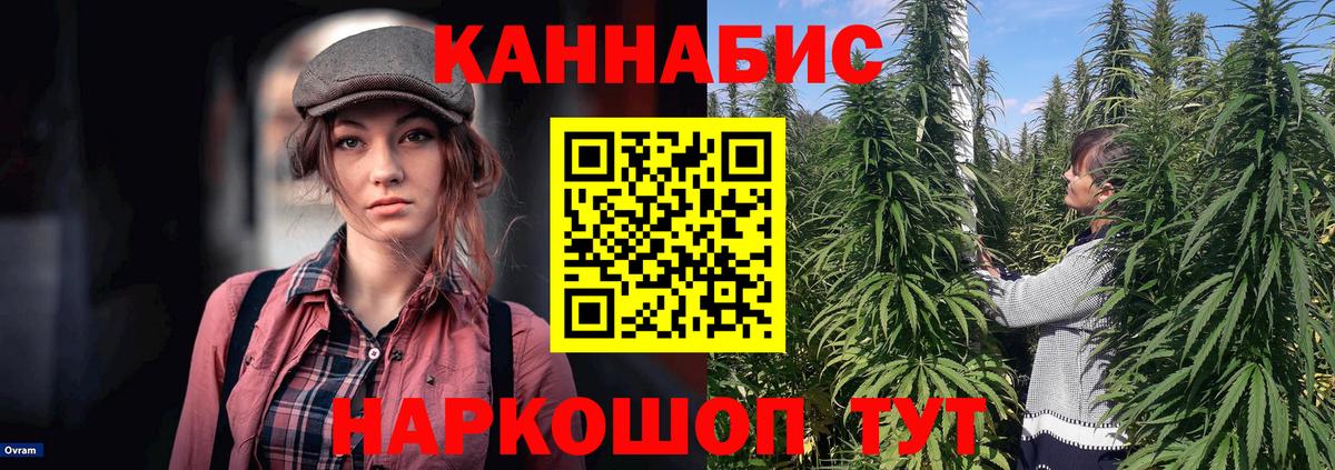 Бошки марихуана LSD WEED  Вход с VPN  МАРИХУАНА гибрид  Гусь-Хрустальный  Каннабис MAZAR 